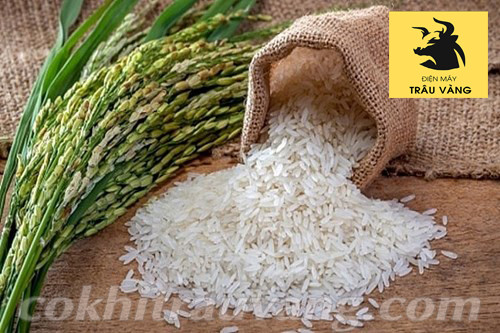 Máy xát gạo