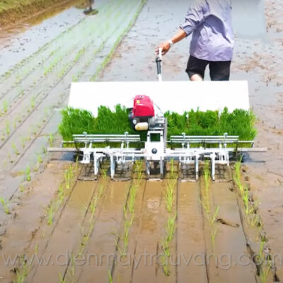 Quy trình trồng lúa nước cực đơn giản khi áp dụng máy móc