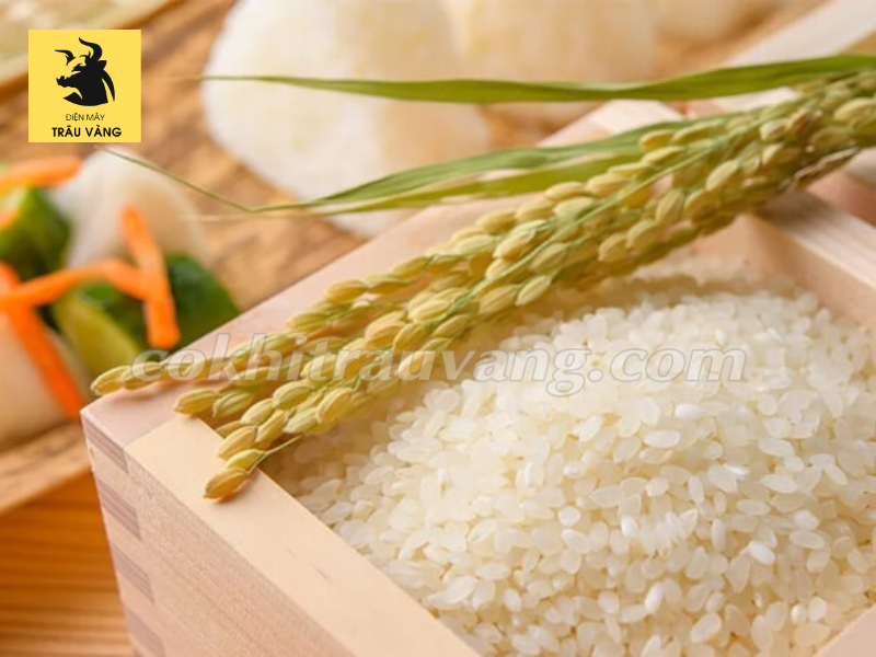 hạt gạo trắng