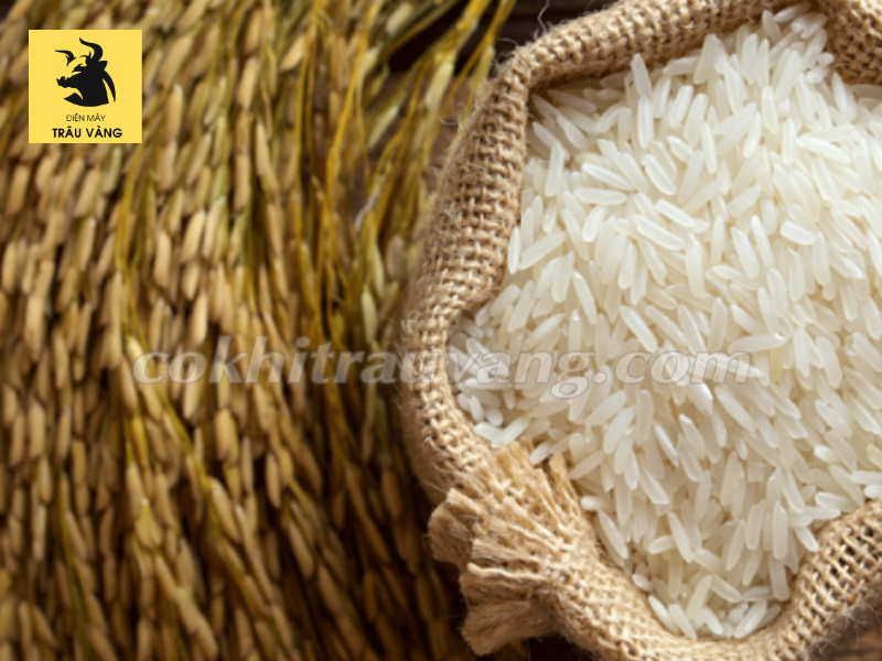 Tác dụng của đánh bóng hạt gạo là gì