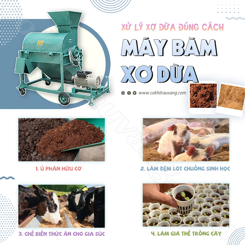Cách xử lý xơ dừa, vỏ thông trước khi dùng làm giá thể trồng lan