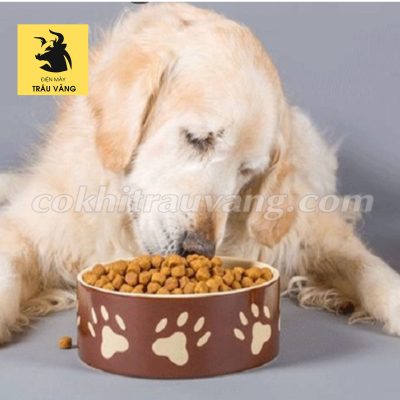 Cách làm thức ăn khô cho chó và công thức dinh dưỡng số 1