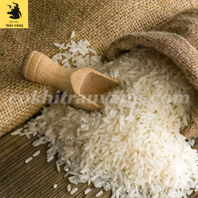 Tiêu chuẩn gạo xuất khẩu sang EU cập nhật mới nhất 2023